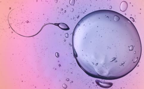 卵泡长不大选择试管助孕能成功吗？