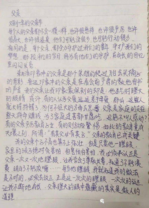 有关父亲节的作文600字