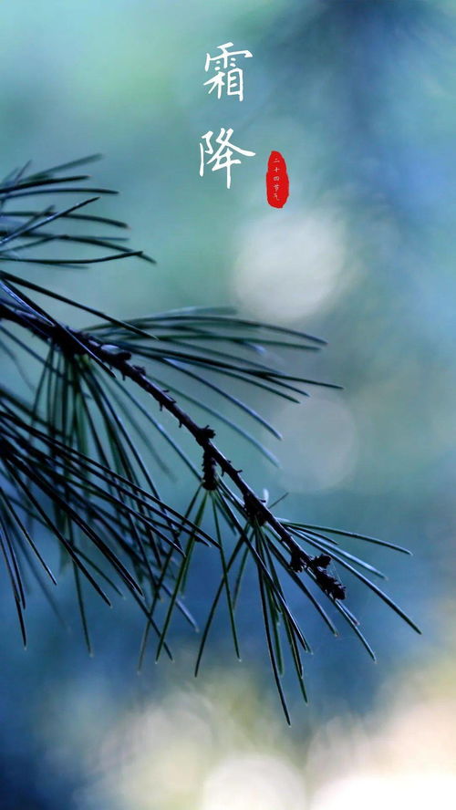 霜降碧天静(如何肯到清秋日，已带斜阳又带蝉。原文_翻译及赏析)