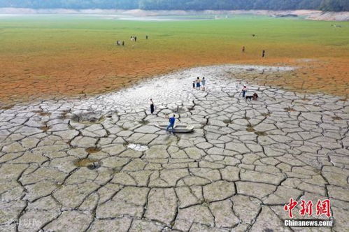 å°æ¹¾æ—¥æœˆæ½­å¹²æ—± æœç‹—å›¾ç‰‡æœç´¢