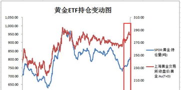 天金银贵金属，持仓是什么意思了？？