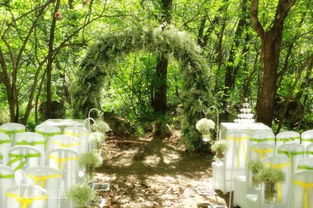森林婚礼的布置方法 浪漫的森系婚礼如何打造