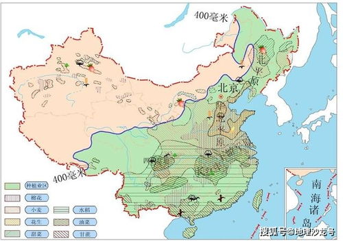 2019年我国粮食产量前十省区,黑龙江省 河南省和山东省位列前三