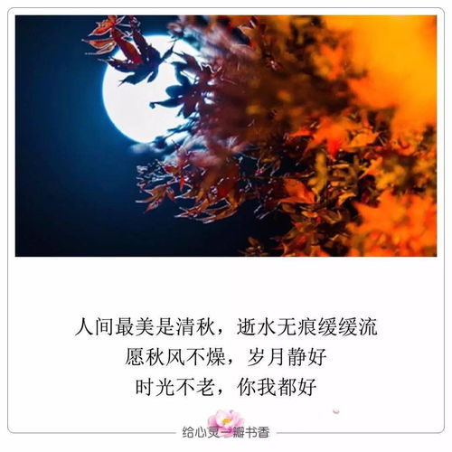 人间最美,是清秋