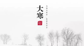 大寒不能做什么事情(大寒不可以做什么)