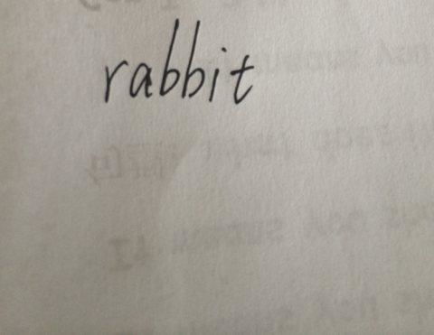兔子的英文单词怎么写(兔子的英文单词怎么写英语)