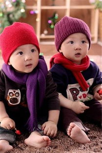 猴年农历10月出生的双胞胎男孩起名大全 