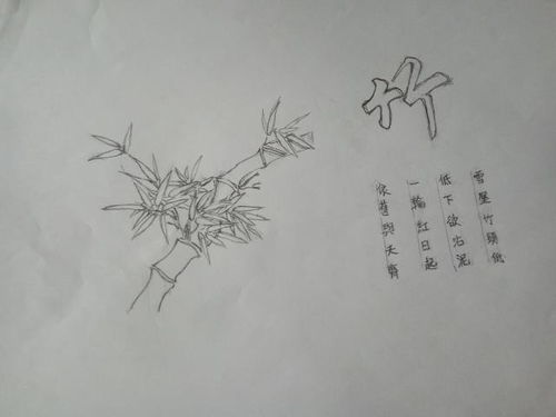 绘画艺术特长及描述 范文;女生特长怎么写？