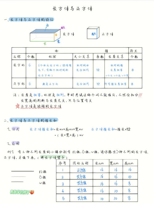 关于长方体和正方体的知识点(关于长方体和正方体的知识点有哪些)