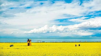 8月份,又到了青海湖旅行的好时节,这份攻略送给你 