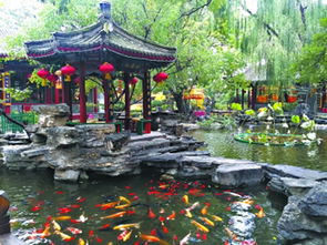 北京逾百园林遗址被占用 一王府花园成高档餐馆,吃饭才让进
