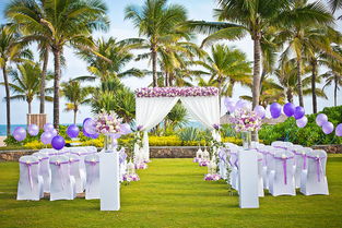 户外草坪婚礼 海棠湾天房洲际酒店 紫色的梦 