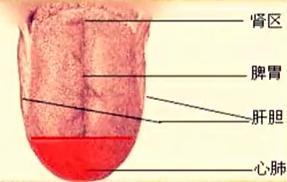 舌苔是什么用来诊病有什么依据(这舌苔是什么病的症状)