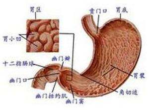 先天性十二指肠闭锁的检查 