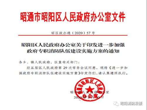 骨干事业编制 队员合同为主 队伍政府主建 经费财政保障 管理消防负责 单位公益性质 这里的专职消防队伍建设意见出台了