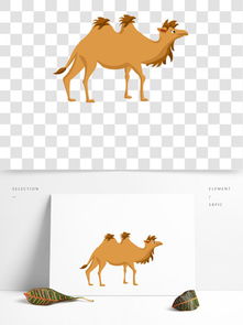 图片免费下载 骆驼插画素材 骆驼插画模板 千图网 