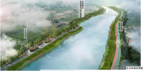 强力攻坚 提质增效 区领导督导萍水河河道综合整治工程建设