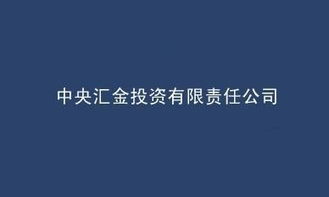 在中央汇金投资有限公司投资可靠吗