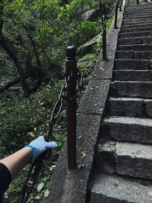 天呐 趴子既然登上了华山 