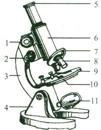 如图是普通光学显微镜构造图,请据图回答下列问题 1 图中 是 , 是 . 2 下面为显微 