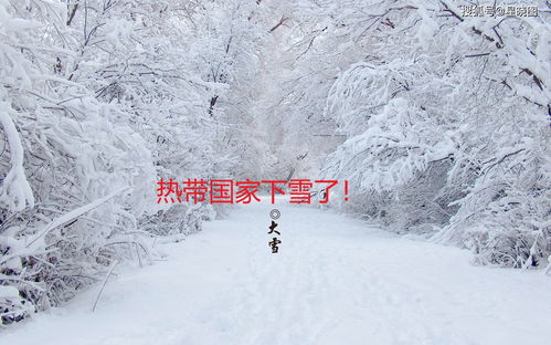 热带国家下雪了 比喀麦隆9月飘雪更罕见的,是神奇的继承传统