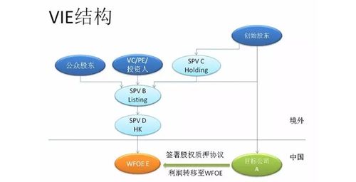 VIE 结构是什么？建立的过程中需要注意什么问题