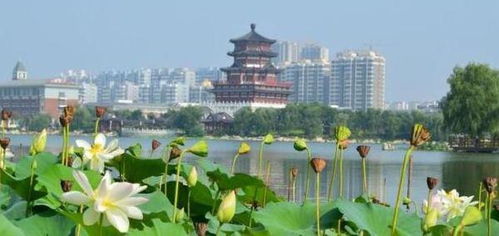 济宁小北湖景点介绍(济宁小北湖景点有免费停车场吗)