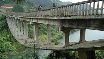 全世界最奇葩的桥,由中国设计建造,技术理念很先进 