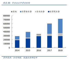 赛诺医疗：孙箭华引领创新突破，实现持续增长