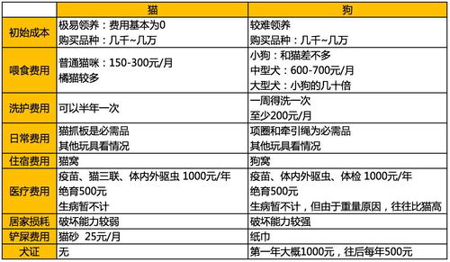 查重方法大全：从基础到高级，全方位掌握