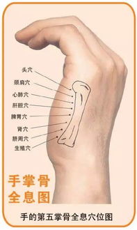 按摩的时候技师说穴位堵了什么意思