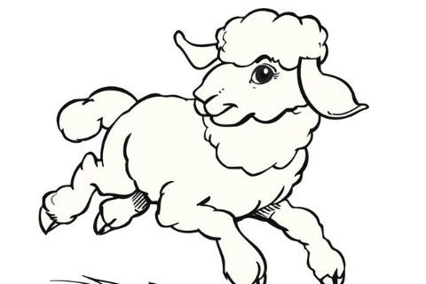 1955年属羊人2021年运势女性 55年出生67岁生肖羊女2021年运程好吗
