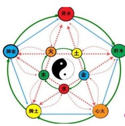 八字命理中最简单的三大术语