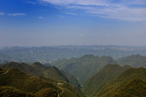贵州一座东北 西南走向的山,是川黔交通要道上的重要关口