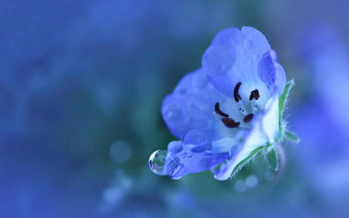 谷雨出生的女宝宝五行缺什么