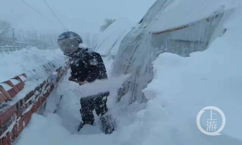 暴风雪下的内蒙古通辽 陆地空中交通中断 整个城市被冰封 