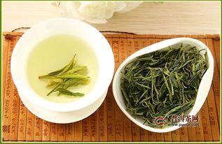 什么茶叶叫绿茶,绿茶是发酵茶吗