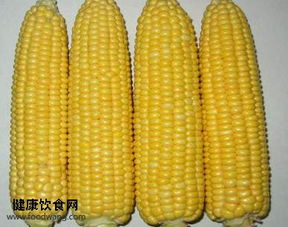 玉米的功效与作用，吃玉米的好处和功效与作用