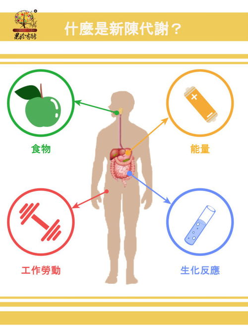 新陈代谢不是只有热量与减肥 看得见 看不见的,全都是