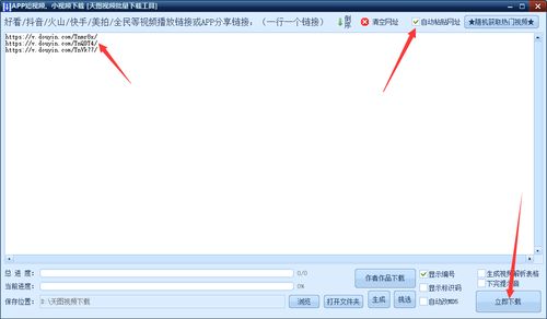 抖音搬运月入10W 只是幻想 带货达人让你了解日入过万过程 视频 