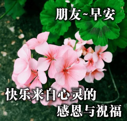 早上好高情商简短句子