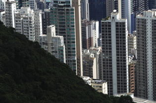 实拍香港的富人区浅水湾,这里的房价全香港最贵