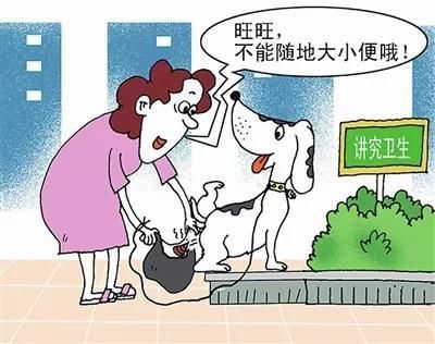 根据闵行这份调查报告,最不文明养犬行为排名第一的是