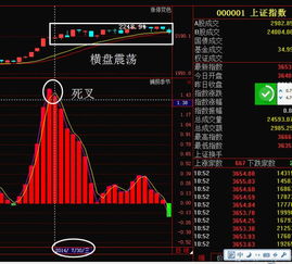 如何理解判定上涨牛股？