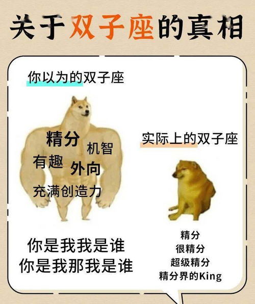 你真以为双子座都是这样的 