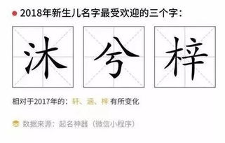 2018 爆款姓名 公布 石景山人给孩子起名别用这些名字了...