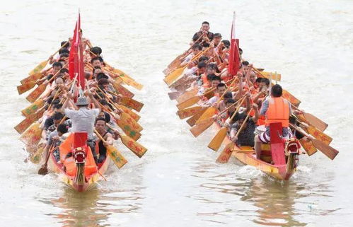 精品路线发布丨带你玩转海陆空 乐享梅山湾