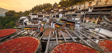 婺源停车场免费,上饶篁岭景区有免费停车场吗?篁岭停车场收费