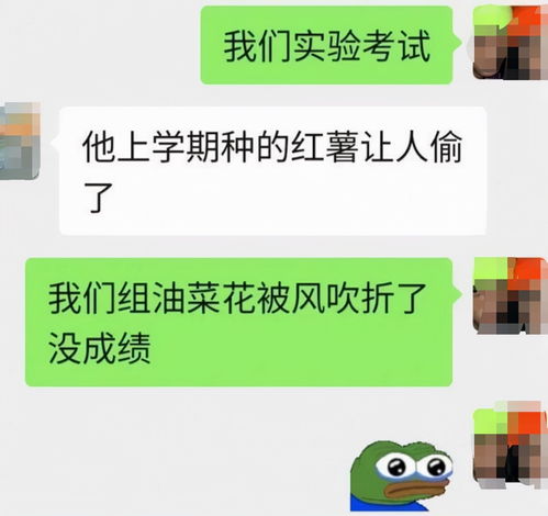 大学里 很搞笑 的专业,浓郁的乡土气息,在学校追猪跑是常事