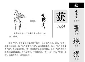 (包含获的组词大全)获拼音、部首、笔画、繁体简介?获组词有哪些